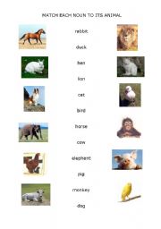 Animals test