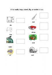 English worksheet: Animal Movements