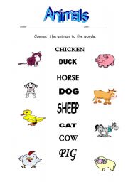 Connect exercise-animals