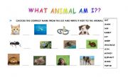 English worksheet: what animal am I??