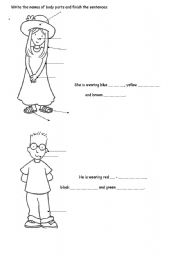English Worksheet: Body parts and clothes