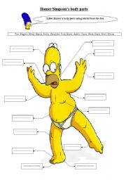 English Worksheet: Homer Simpson body parts 