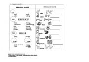 English Worksheet: Plurals