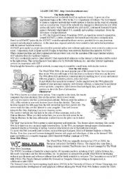 English Worksheet: The birth of the net: