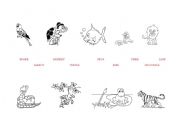English Worksheet: animals