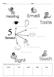 English Worksheet: The five senses