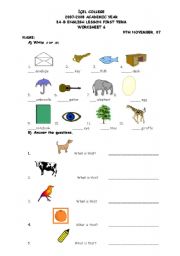English Worksheet: A/An
