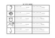 English Worksheet: My 5 Senses