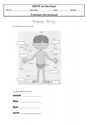 English Worksheet: Human Body