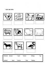 English worksheet: animals