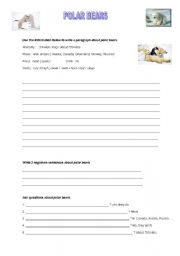 English Worksheet: polar bears