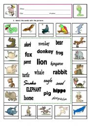 English Worksheet: Animals