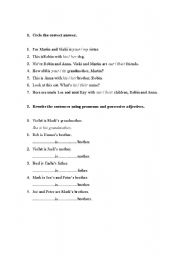 English Worksheet: possessive adjectives