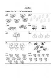 English Worksheet: numbers