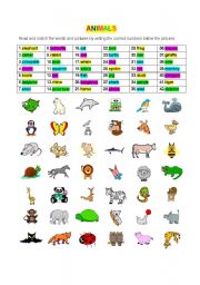 English Worksheet: ANIMALS