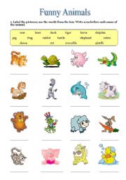 English Worksheet: Funny Animals