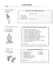 English Worksheet: Students profile