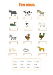 Farm animals