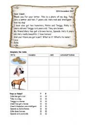 English Worksheet: A letter on pets