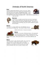 English Worksheet: ANIMALS OF NORHT AMERICA