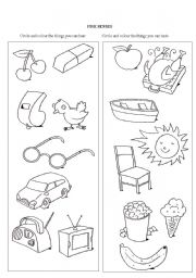 English Worksheet: five senses