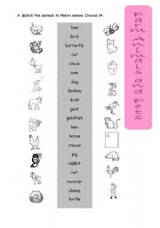 English Worksheet: farm animals and pets