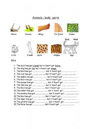 English Worksheet: animals body parts