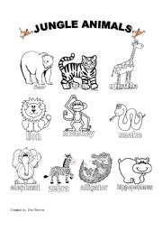 Jungle Animals Worksheet #1