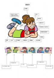 English Worksheet: body vocabulary and illnesses