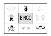 Bingo: parts of the face and feelings