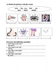 English Worksheet: Parts of the body