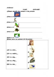 English worksheet: Animals