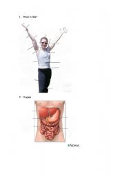 English worksheet: Bodyparts