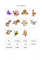 English worksheet: Where do animals live?