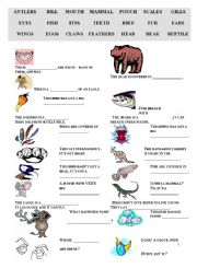 English Worksheet: Animals