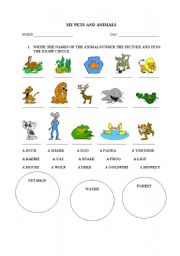 English Worksheet: MY PETS AND ANIMALS