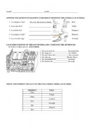 English worksheet: Comparative, Prepositions and Irregular Verb Practice