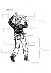 English Worksheet: THE BODY: VOCABULARY EXERCISE 
