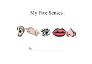 5 Senses Book