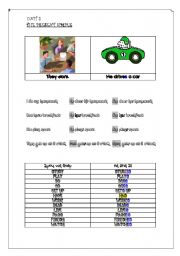 English Worksheet: The Simple Present