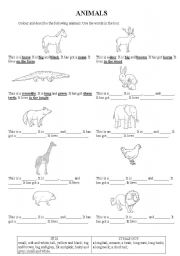 English Worksheet: Animal description