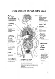 English Worksheet: Dont Smoke!!