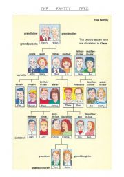 English Worksheet: the family tree