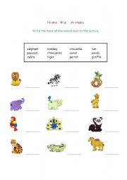 English worksheet: Cute Animals