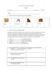 English worksheet: Animals and people