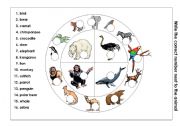 English Worksheet: Name teh animals