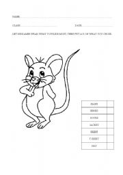 English worksheet: CLOTHING