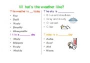 English Worksheet: whats the weather like?