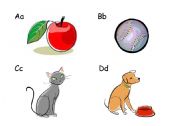 English worksheet: alphabet a-d