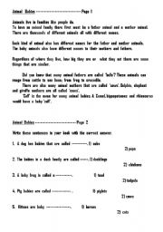 English Worksheet: Animal  Babies